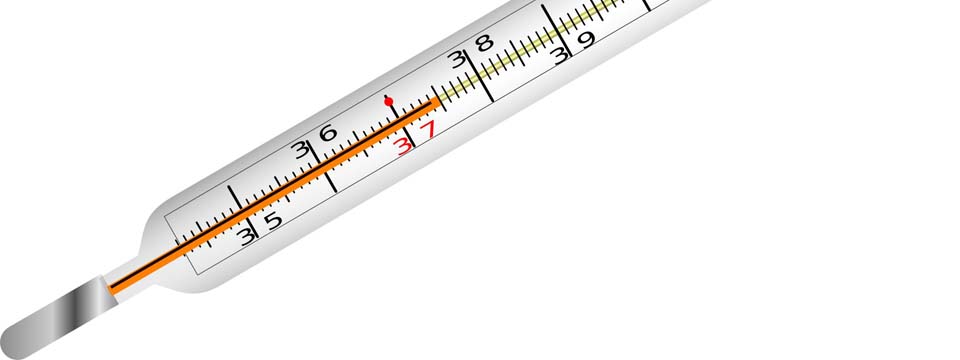 Grippe und Erkältung – Warum bekomme ich das?