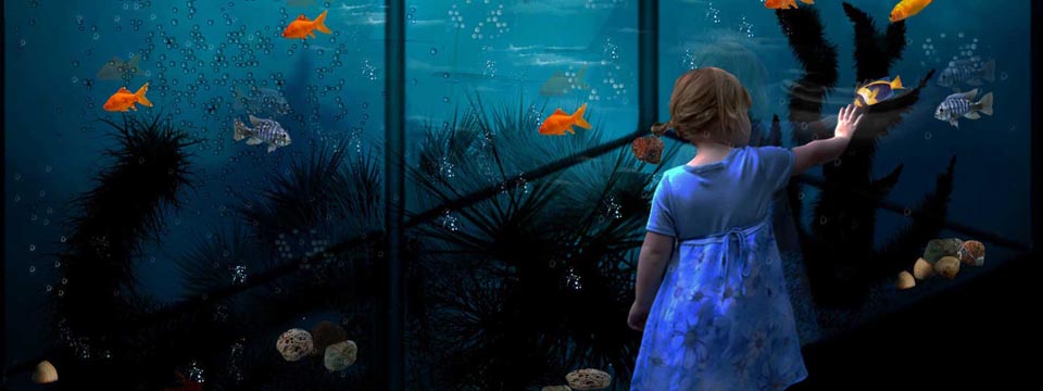 Wenn Kinder nicht einschlafen wollen …