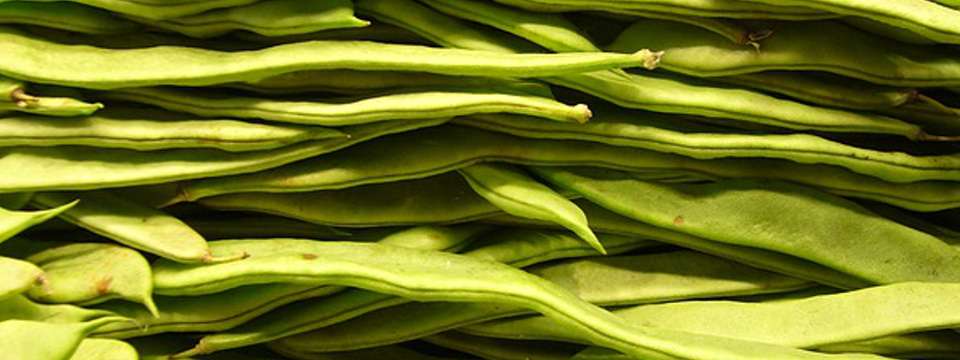 IGF-1 und Krebs: Darum sollten Krebspatienten pflanzliches Eiweiß verzehren